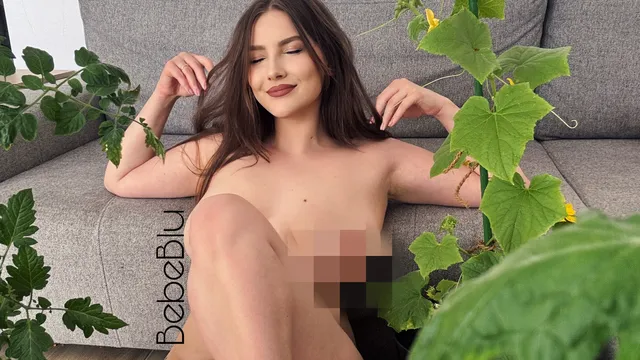 ppw-84662-05h1jq0e