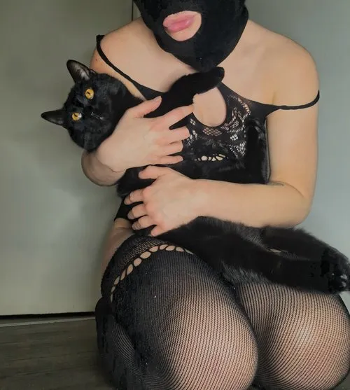Okładka galerii: Kocia zabawa 😺